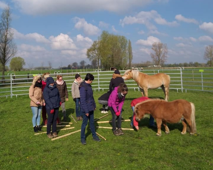 Paardencoaching - Persoonlijke ontwikkeling