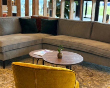 🌱 Verdiepingsmodule Coaching – Geel