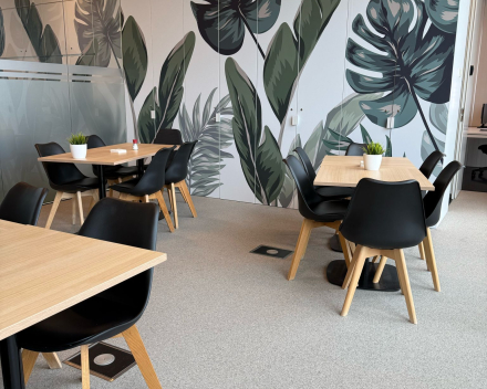 🌱 Verdiepingsmodule Coaching – Geel